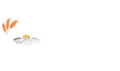 Sponsors Logo